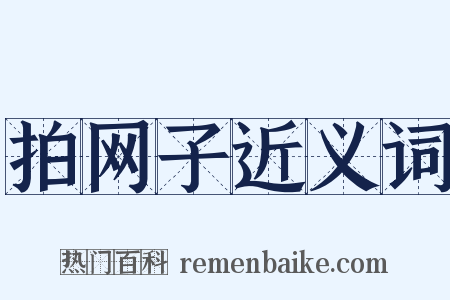 拍网子近义词是什么意思的图片
